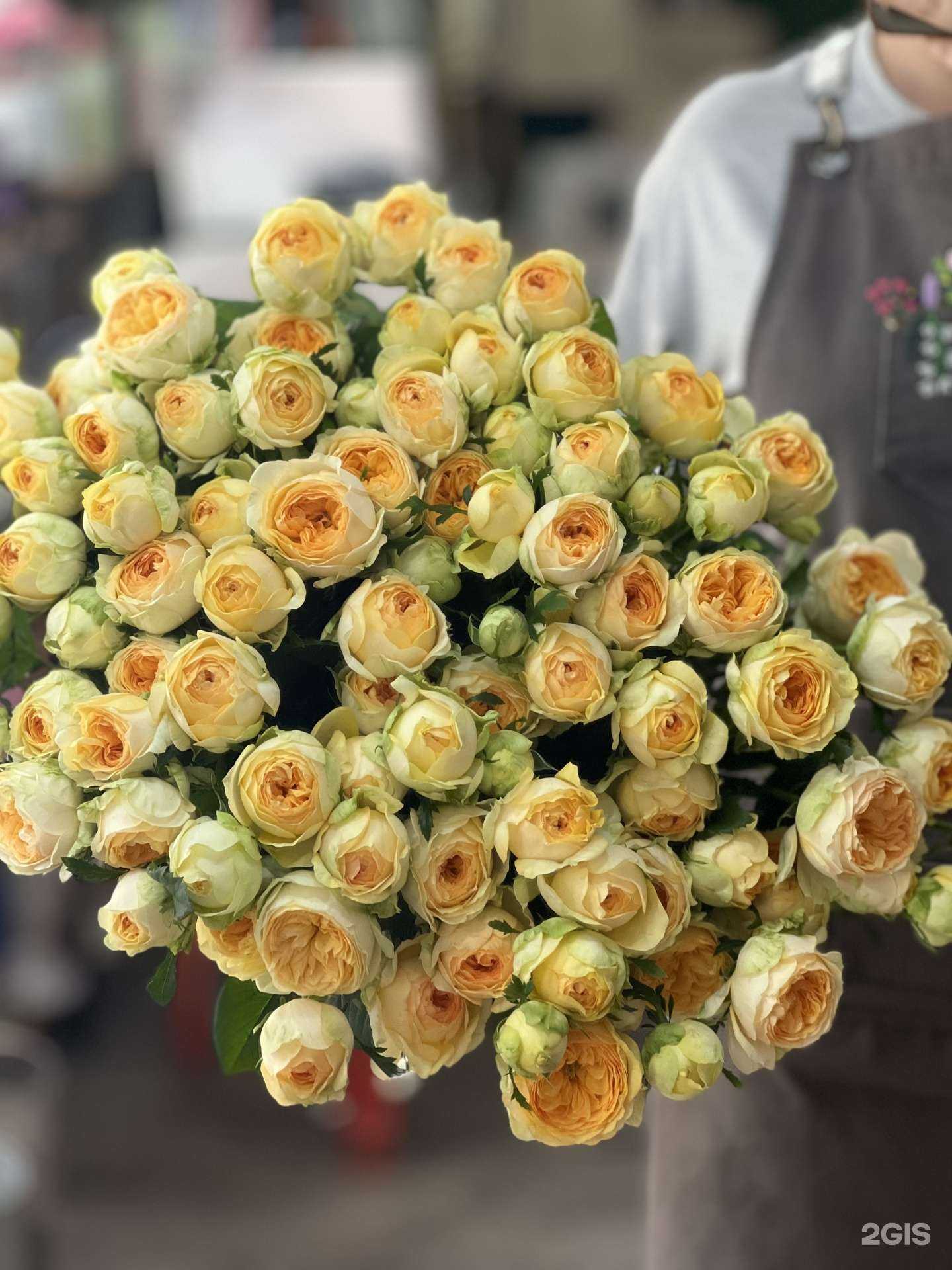 Отзывы на компанию Букет+ в г. Астрахань c фото