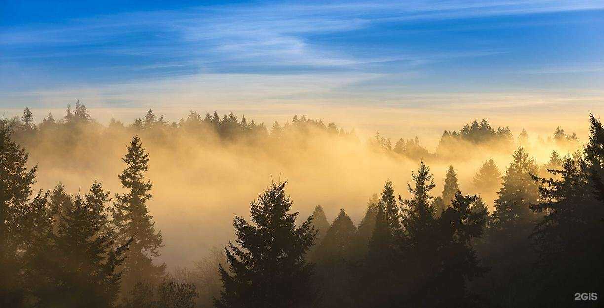 Отзывы на компанию ТСК, строительный магазин в Тимашёвске c фото