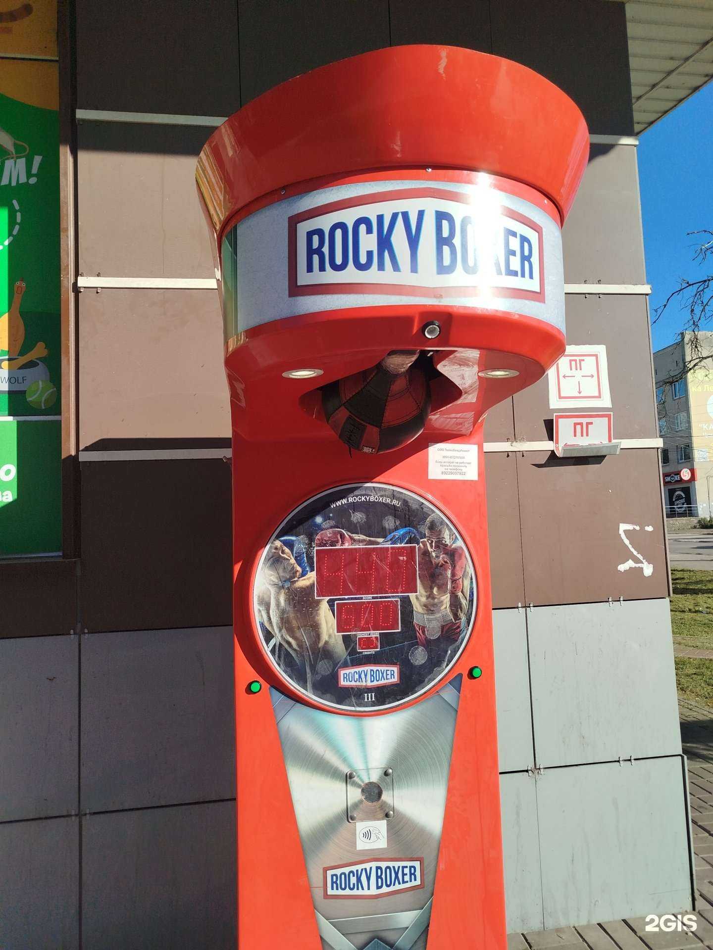 Отзывы на компанию Rocky boxer в г. Бор c фото