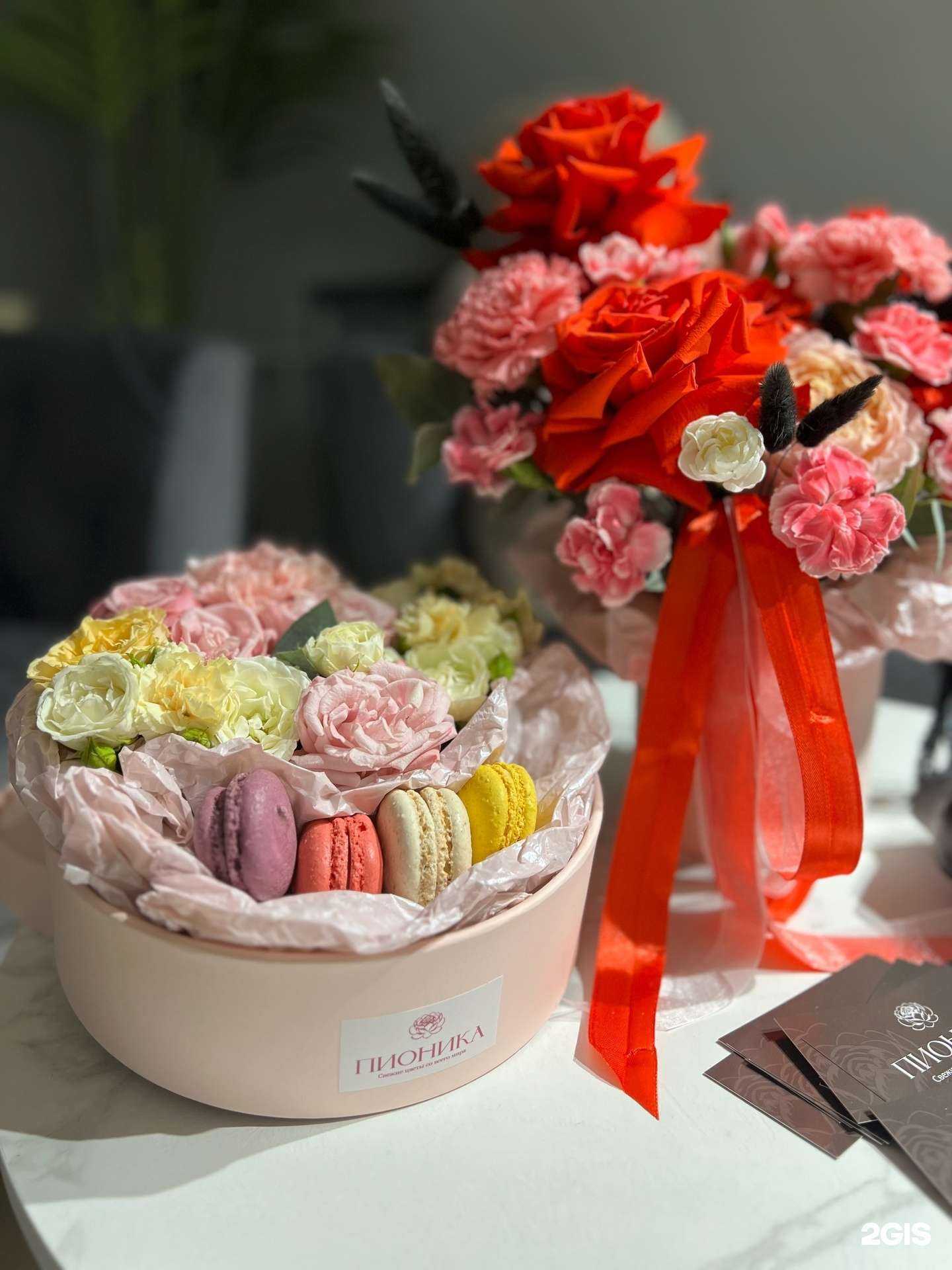 Отзывы на компанию Пионика в Северодвинске c фото