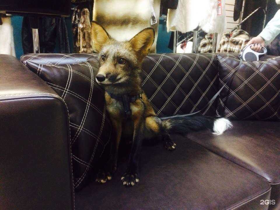 Отзывы на компанию Ecozima.ru в Челябинске c фото