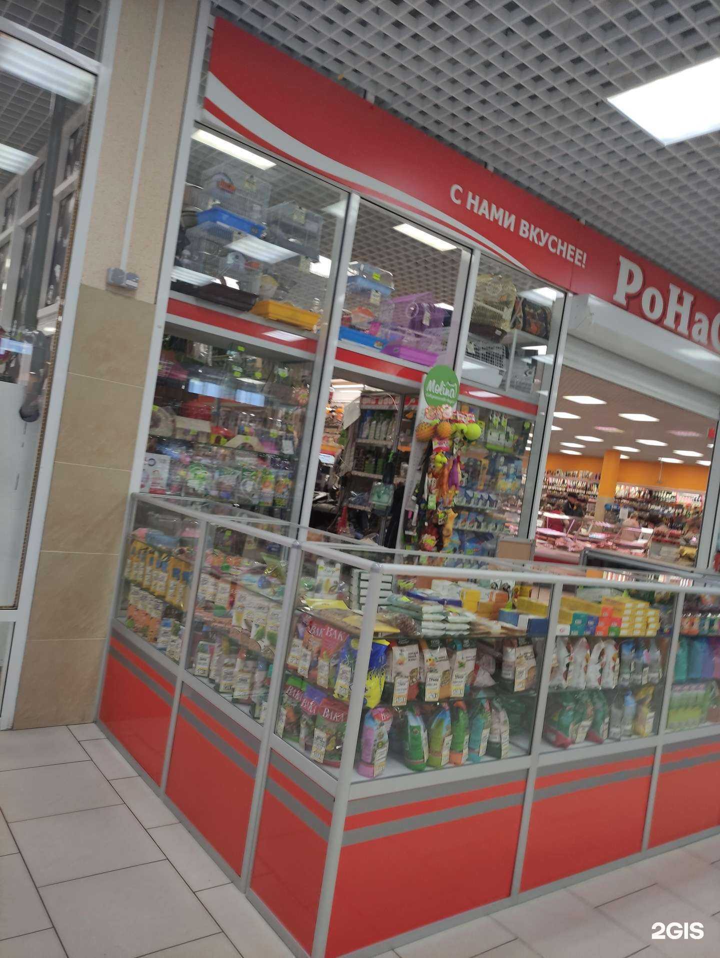 Отзывы на компанию Кот и пёс в Коврове c фото