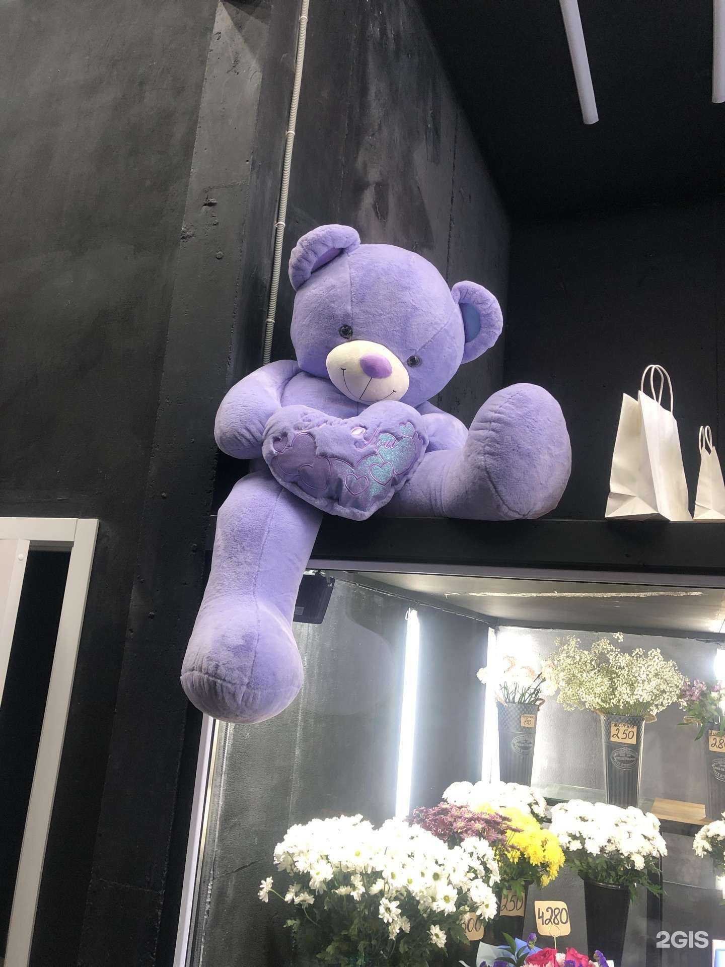 Отзывы на компанию Елена в Иркутске c фото