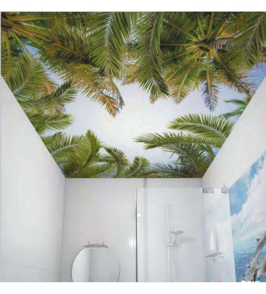 Отзывы на компанию Пирамида в Брянске c фото