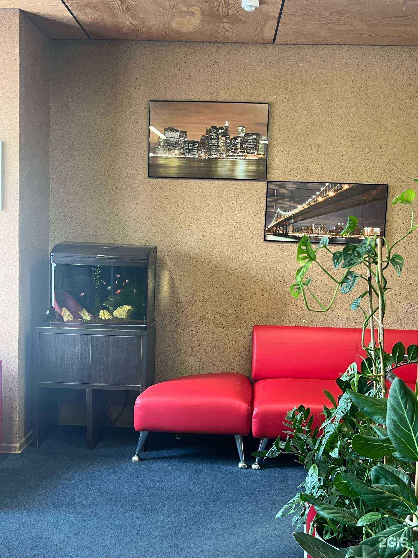 Отзывы на компанию Be Mind в Тюмени c фото