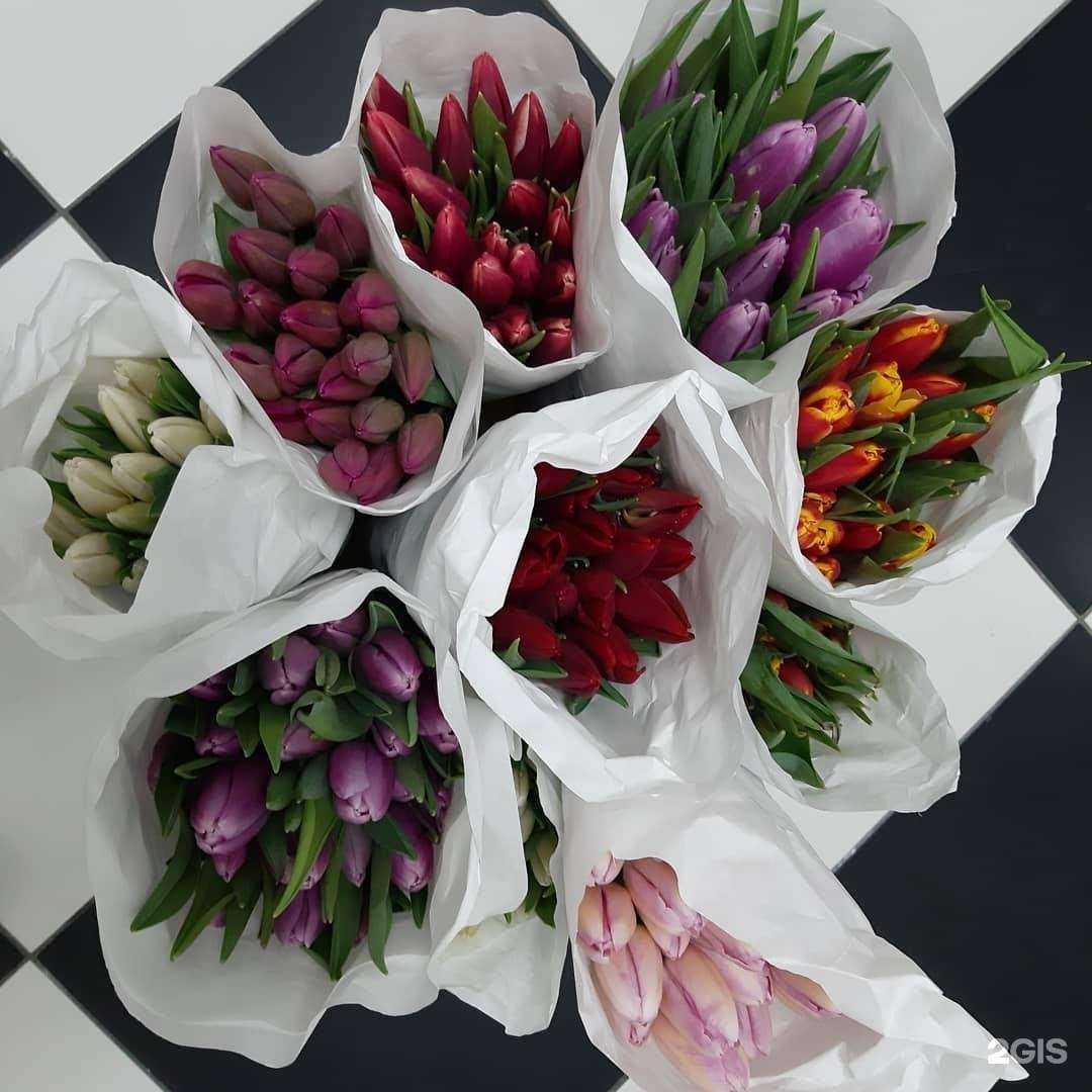 Отзывы на компанию Акация в Самаре c фото