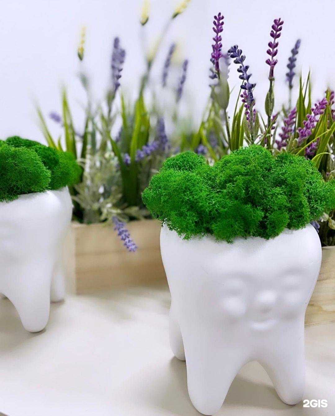 Отзывы на компанию Art Dental в Вологде c фото