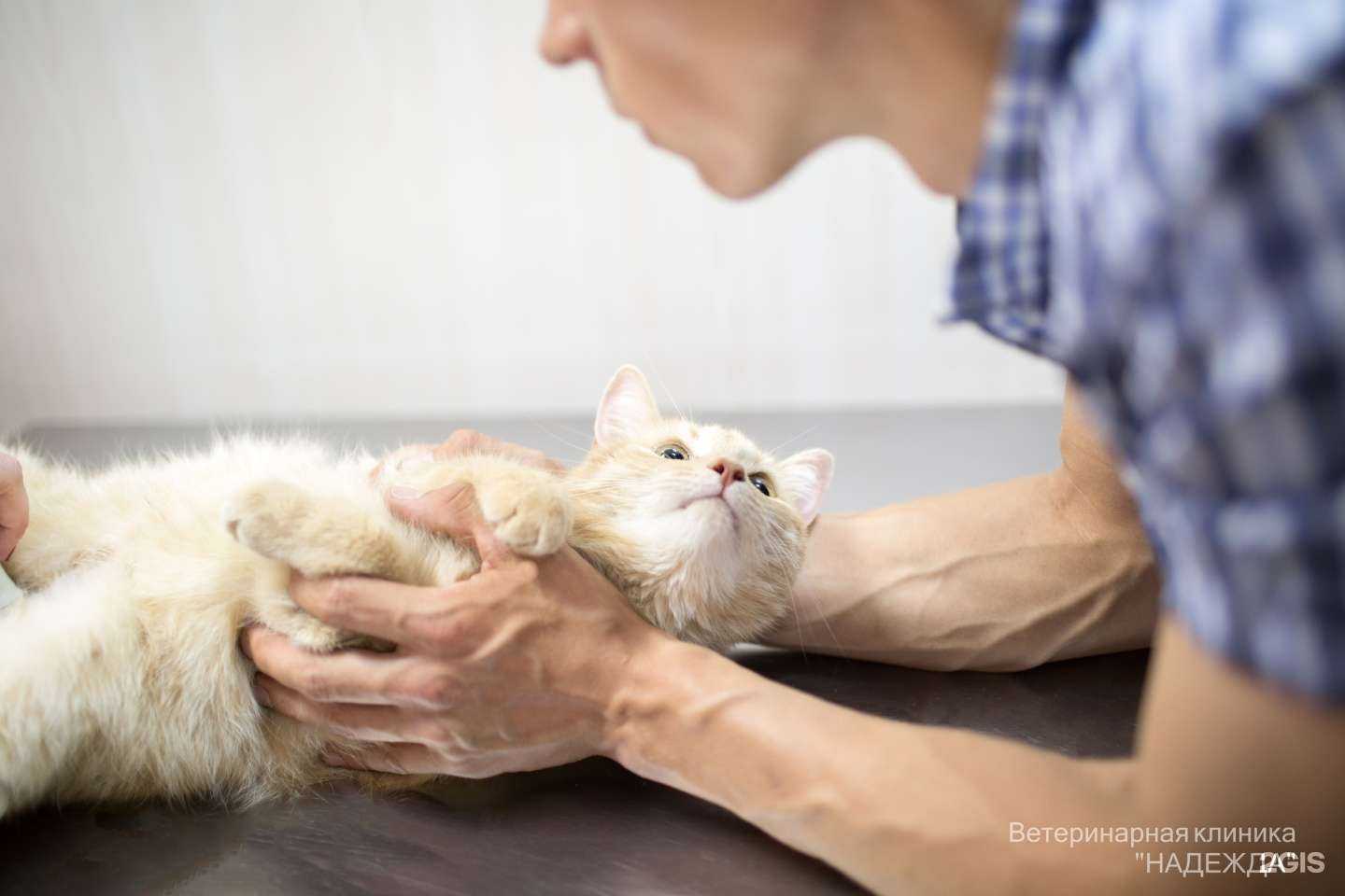 Отзывы на компанию Надежда в г. Архангельск c фото