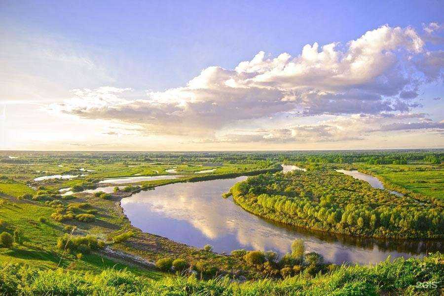 Отзывы на компанию Вторма Клининг в Владимире c фото