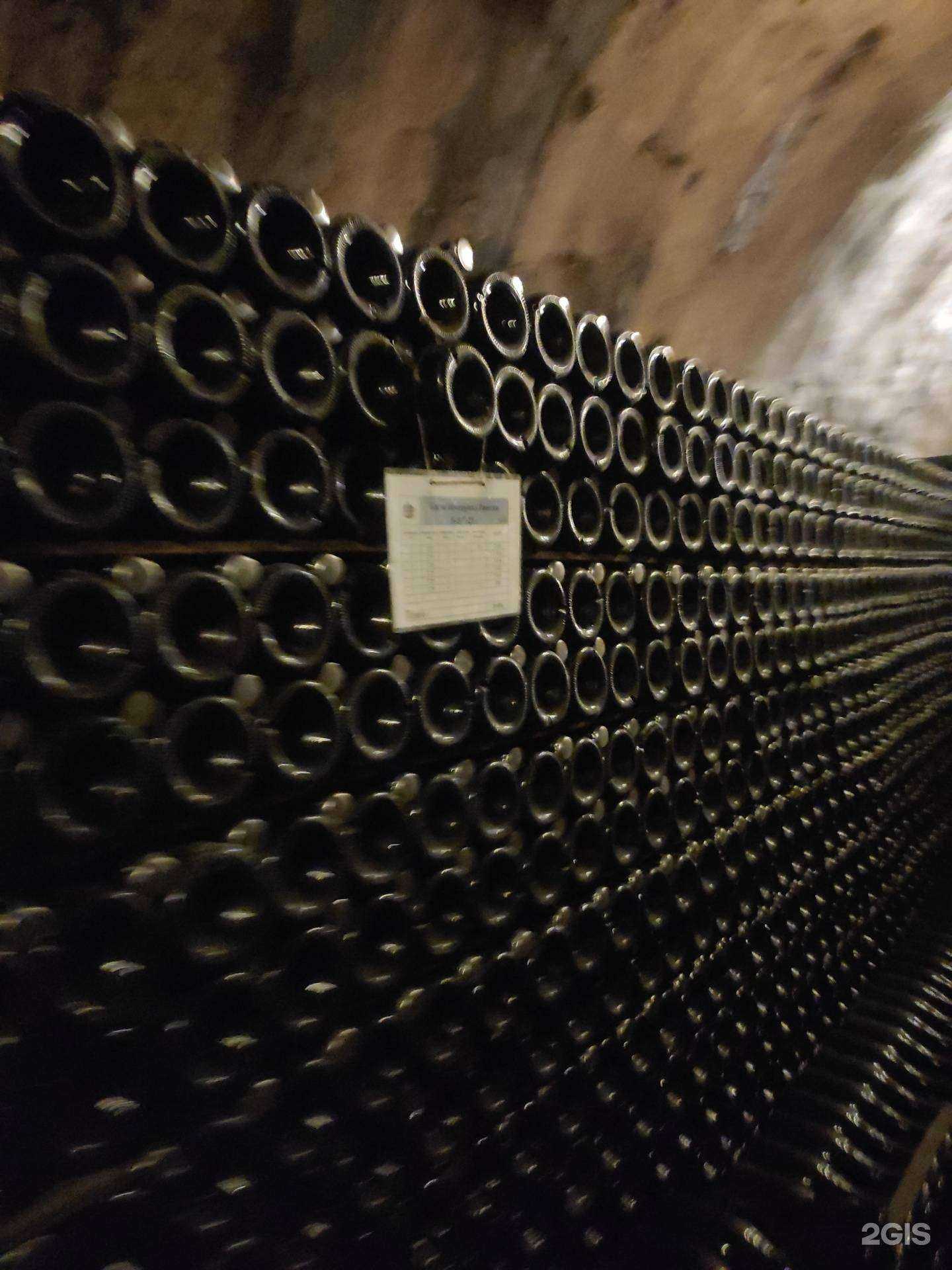 Отзывы на компанию ТЭФ Визит в Анапе c фото