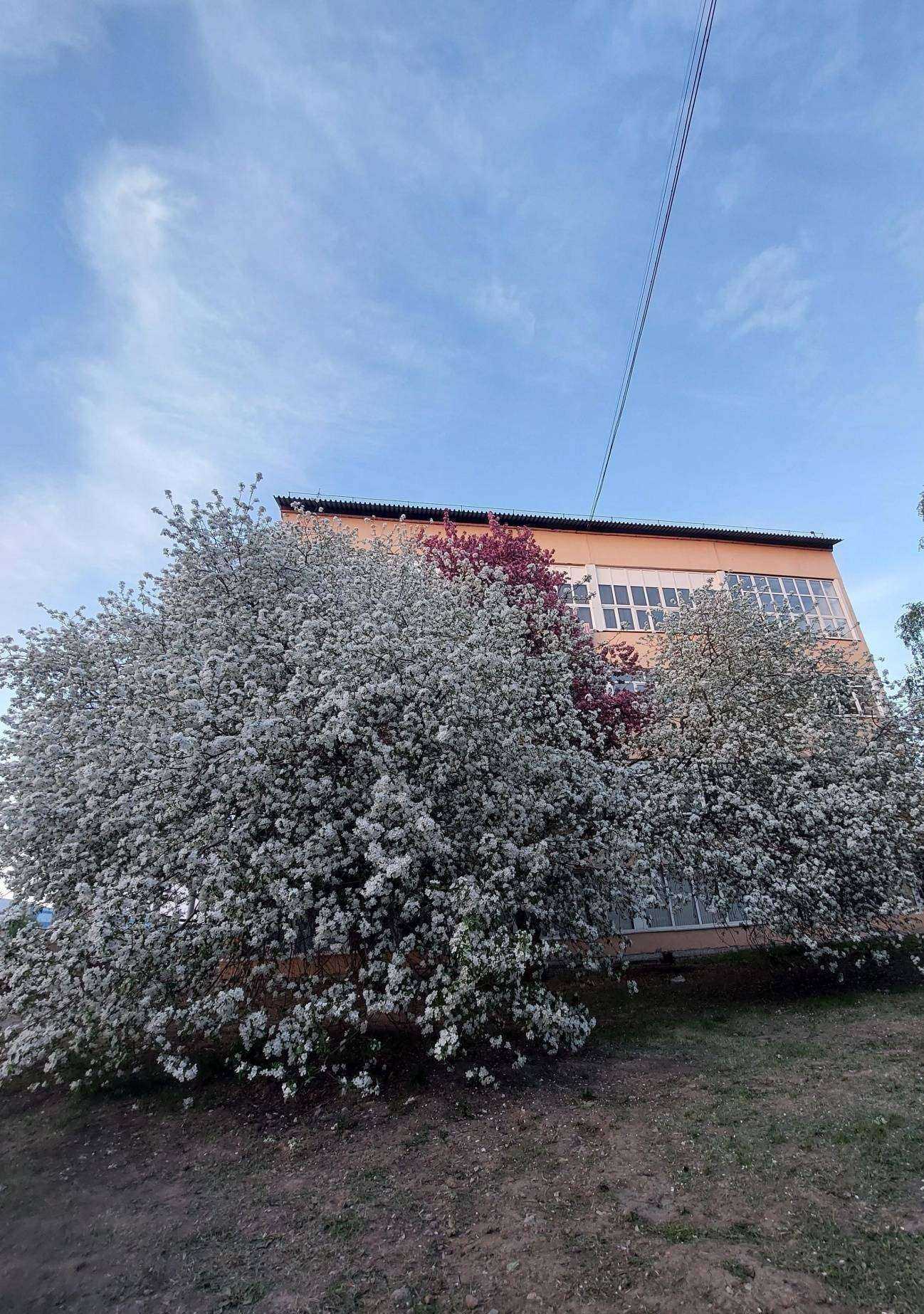 Отзывы на компанию La fleur в Барнауле c фото - фотография 2 из 2