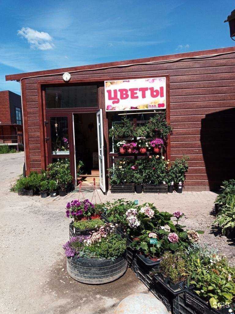 Отзывы на компанию Магазин цветов в г. Чехов c фото
