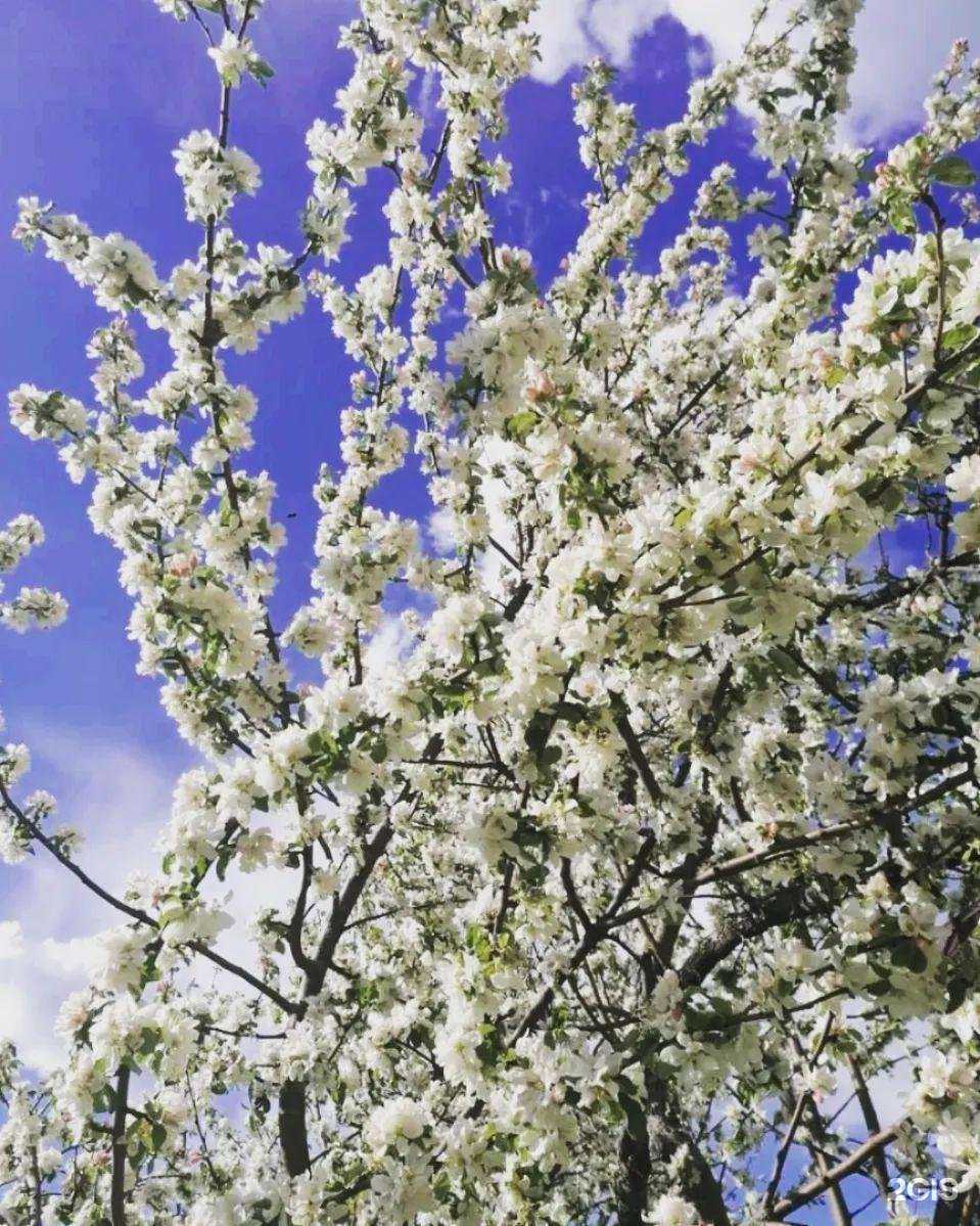 Отзывы на компанию Шейпинг-клуб в Саранске c фото