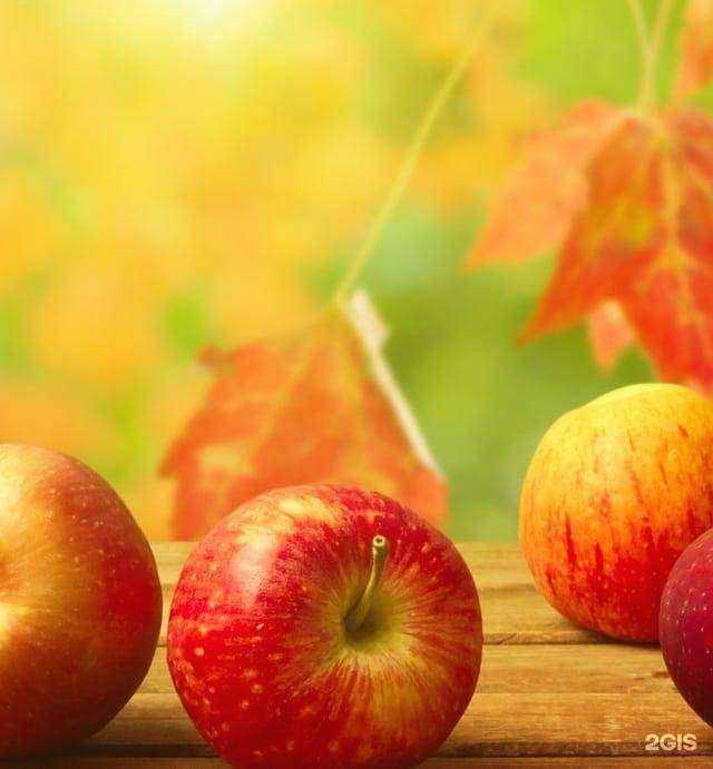 Отзывы на компанию Страховой брокер в г. Новосибирск c фото