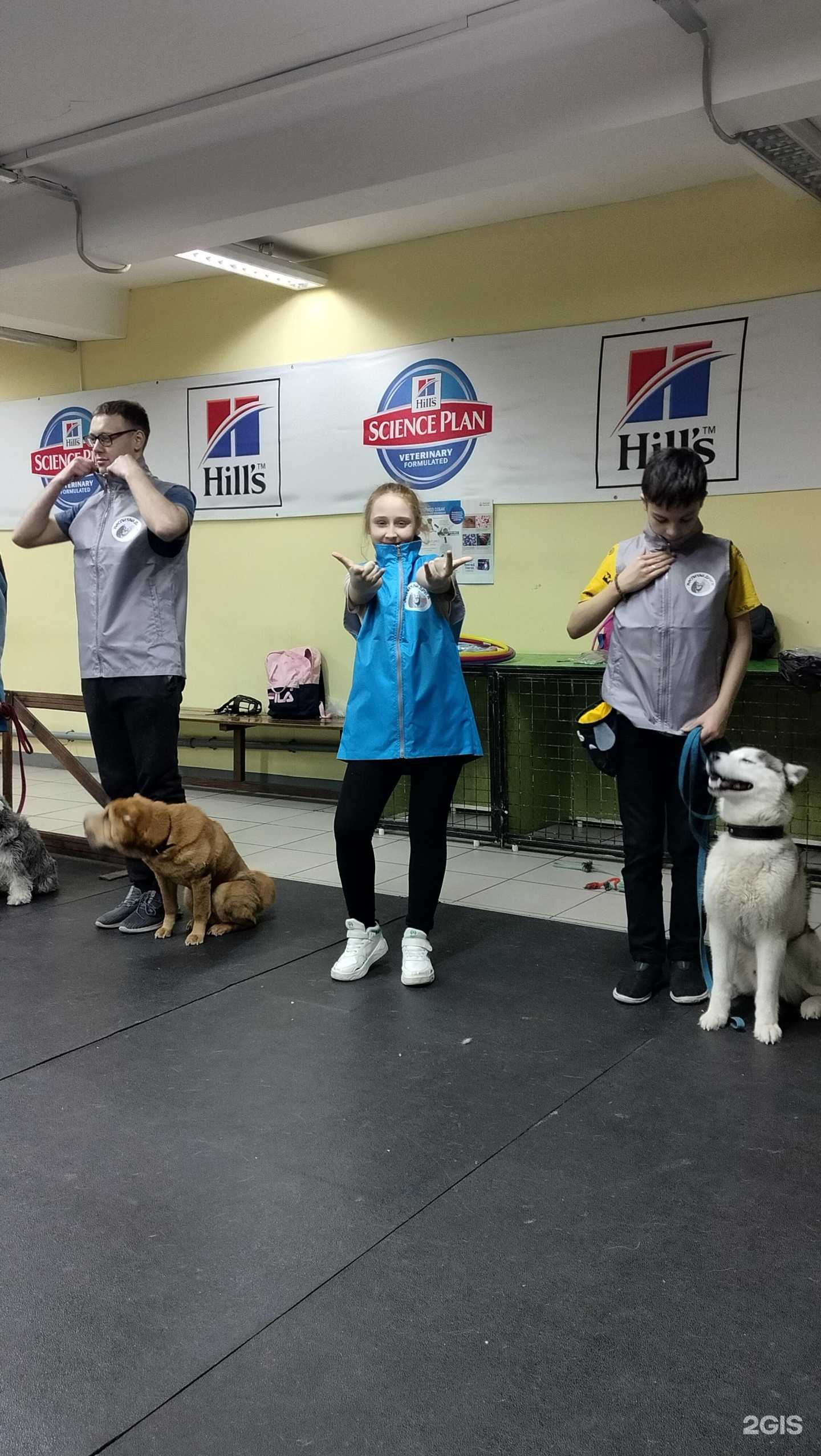 Отзывы на компанию Альмавет в г. Барнаул c фото