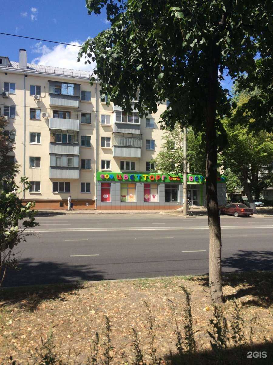 Отзывы на компанию Цветторг в Липецке c фото