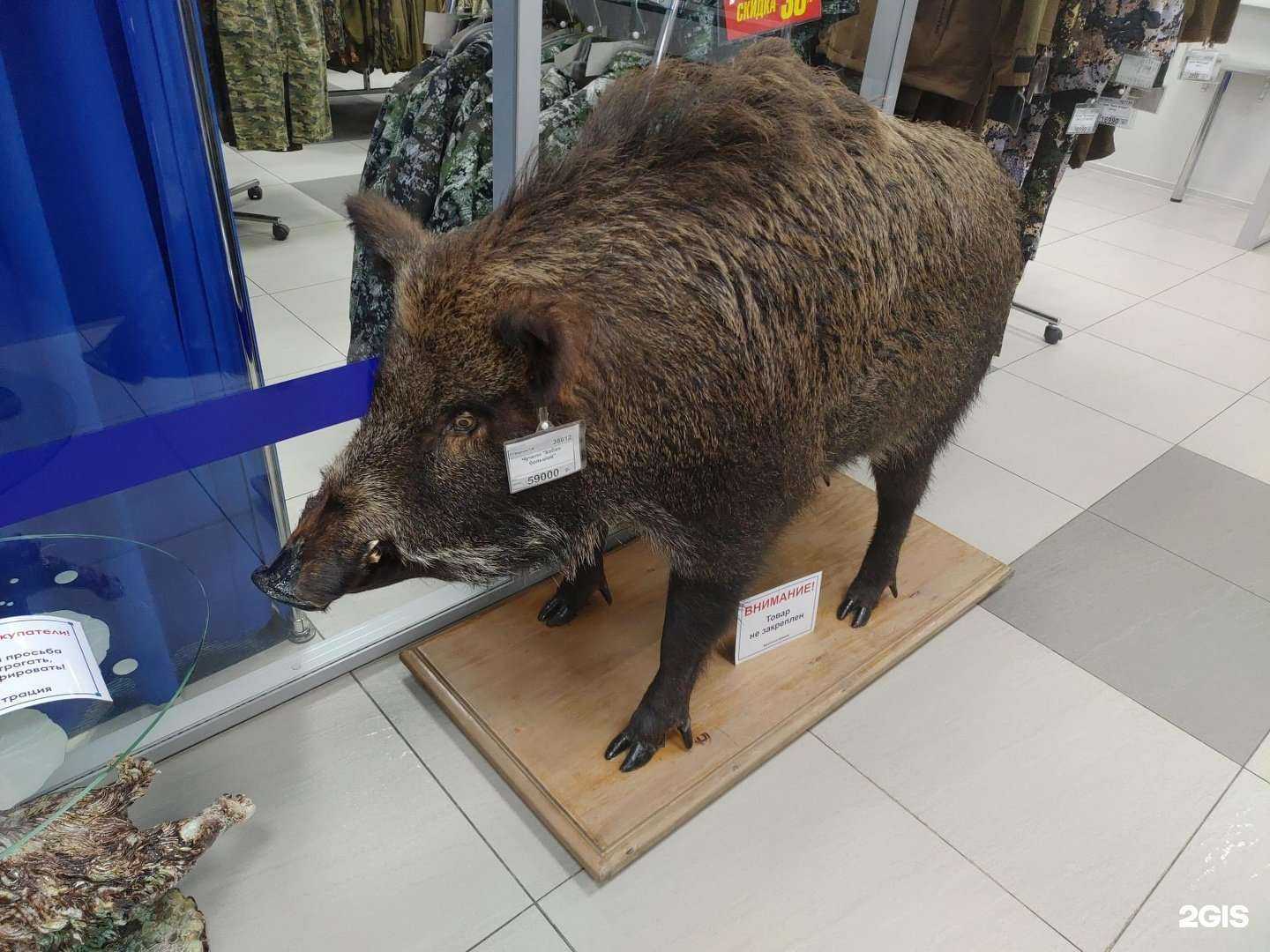 Отзывы на компанию Оружейный двор в Хабаровске c фото