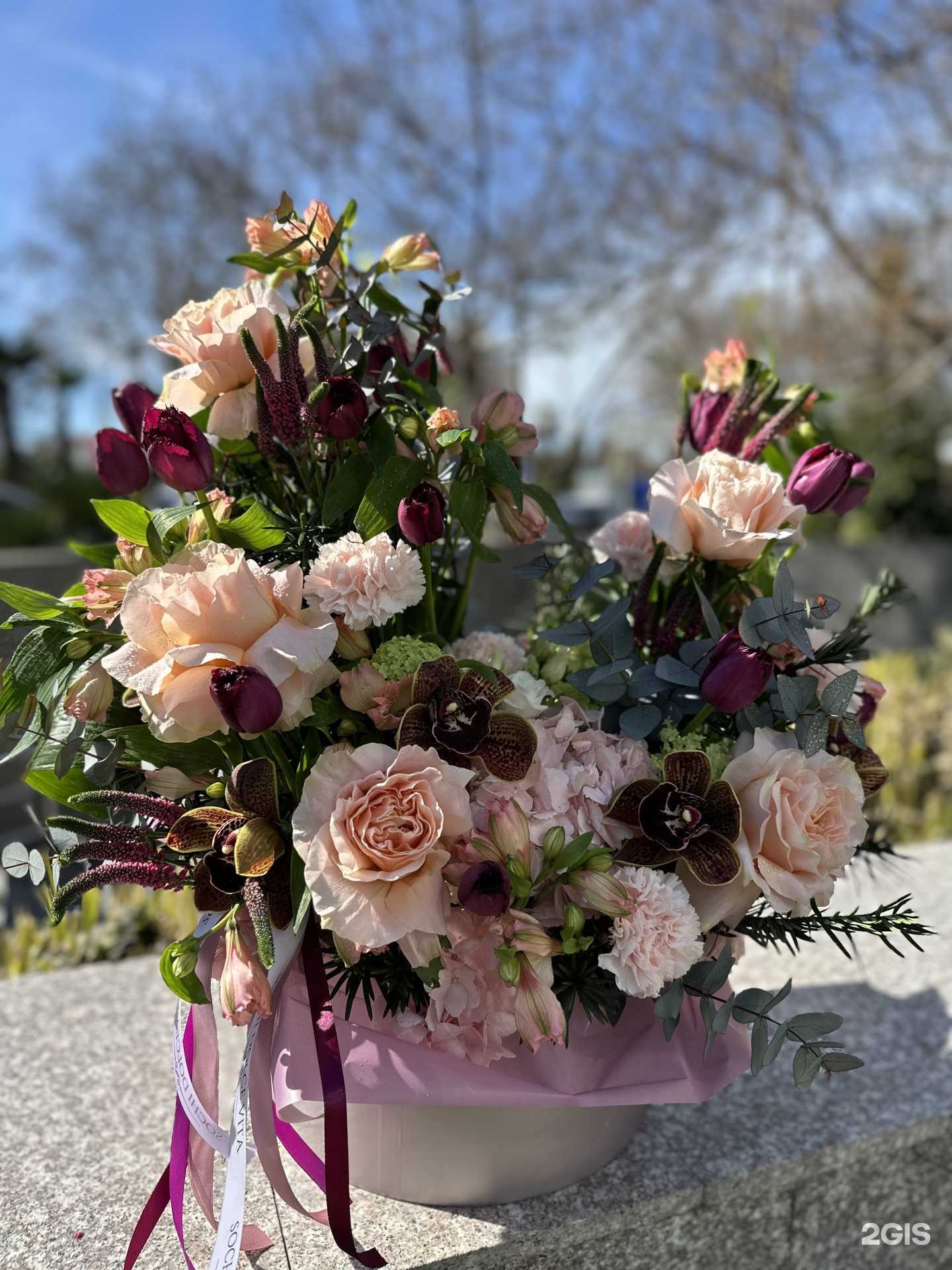 Отзывы на компанию SochiDolceVita в Сочи c фото