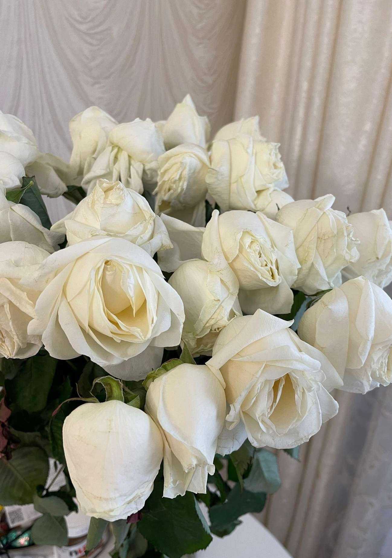 Отзывы на компанию Королева роз в Иванове c фото