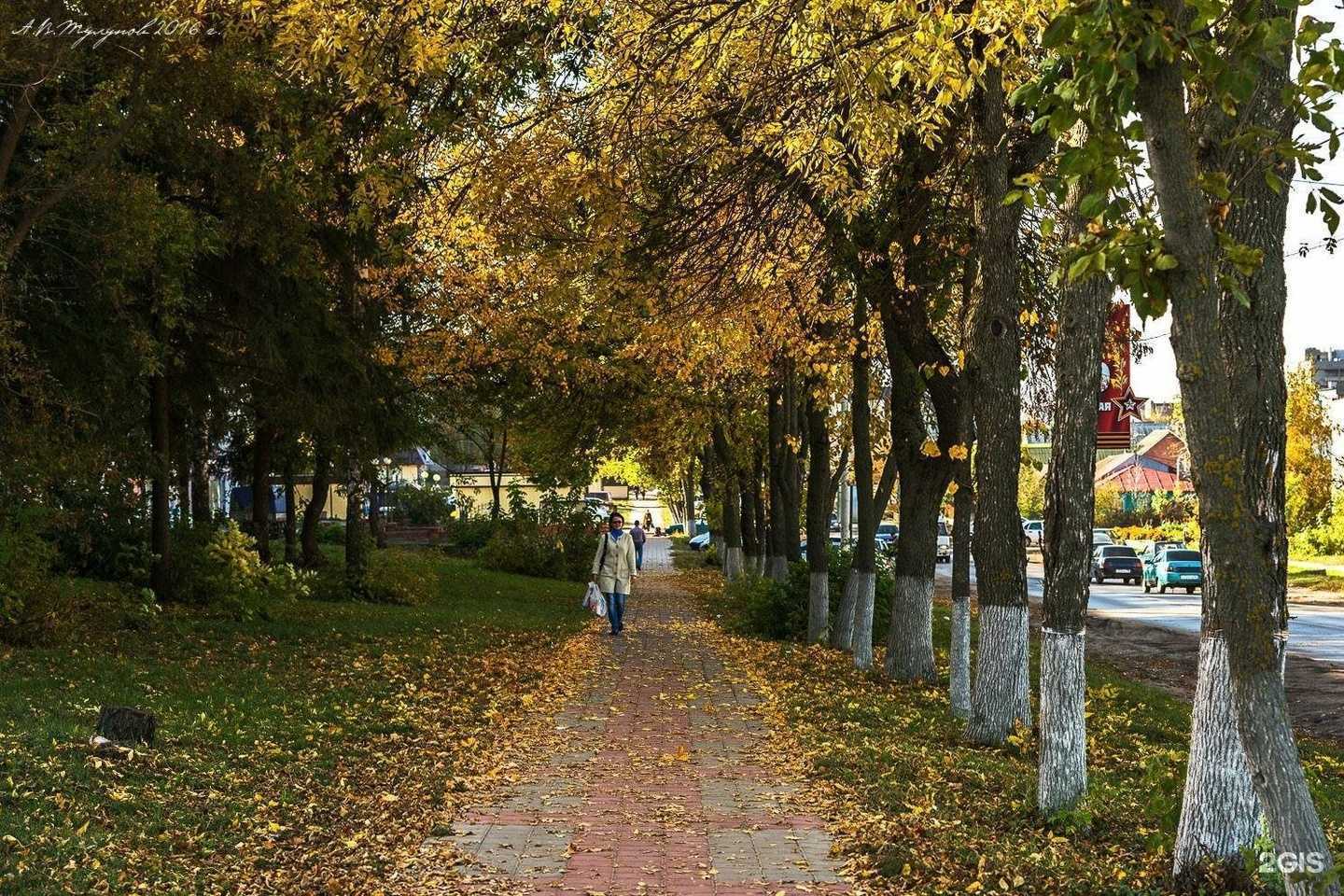 Отзывы на компанию Черное перо в Рассказове c фото