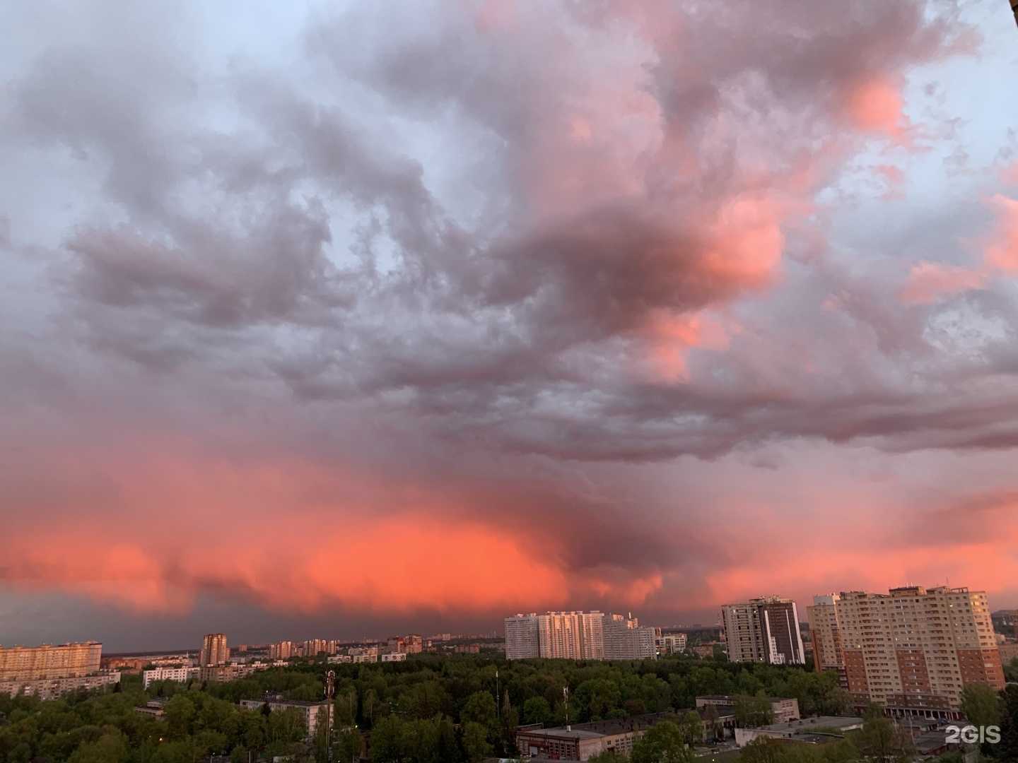 Отзывы на компанию Лотос в Пушкине c фото