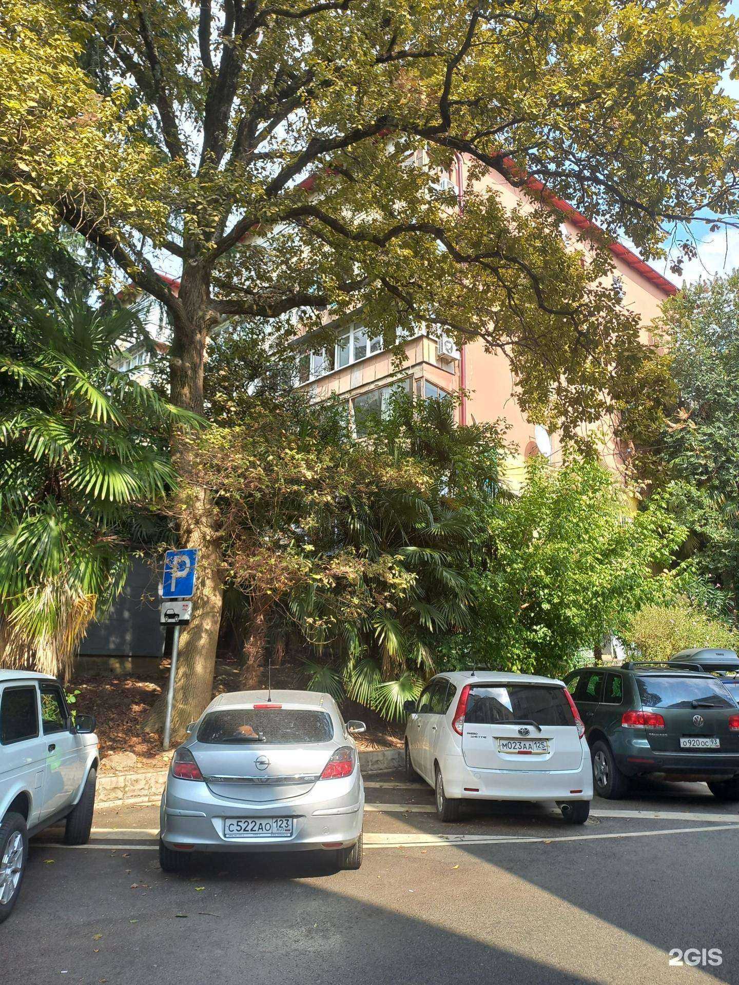 Отзывы на компанию Псиведцентр в Сочи c фото - фотография 2 из 2