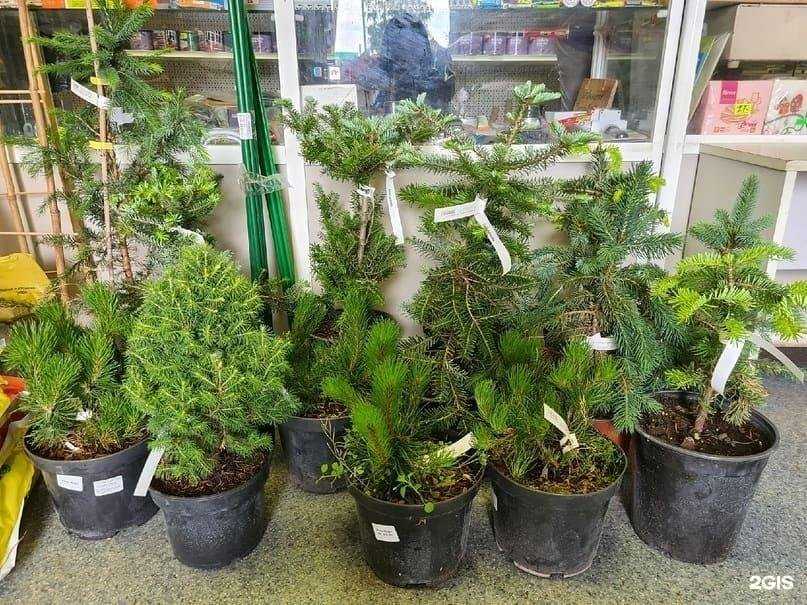 Отзывы на компанию Склад в г. Пермь c фото