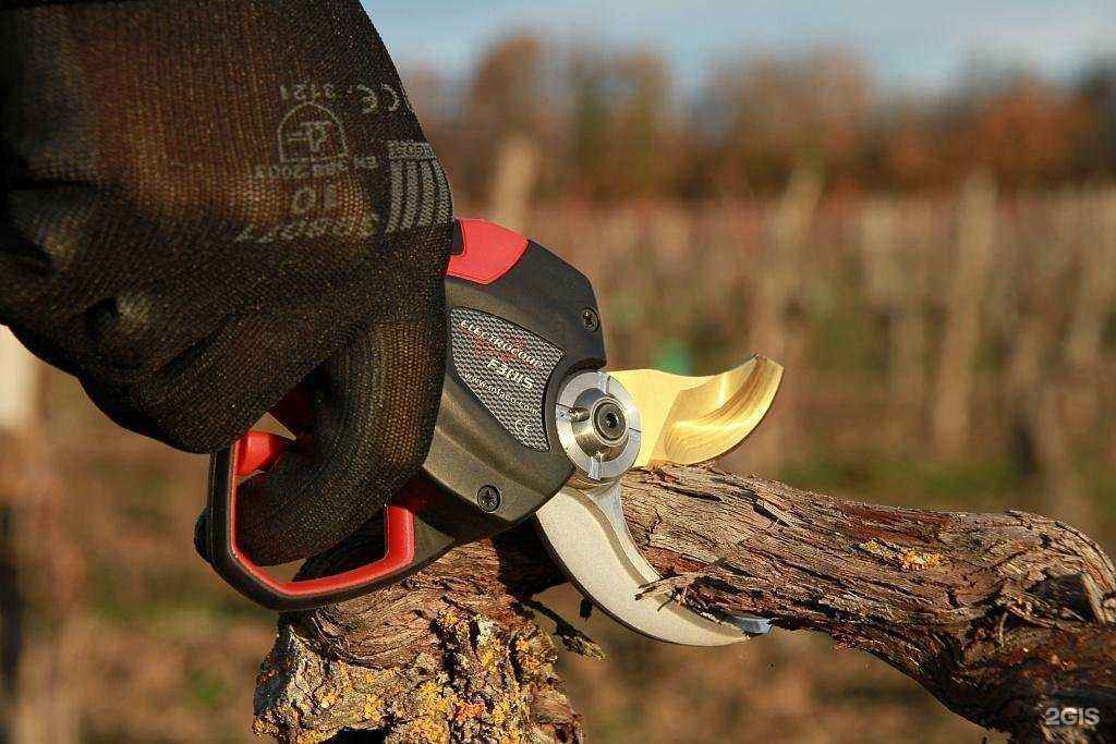 Отзывы на компанию Творница в г. Краснодар c фото