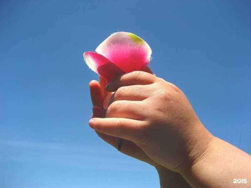 Отзывы на компанию Арлекин в Саратове c фото