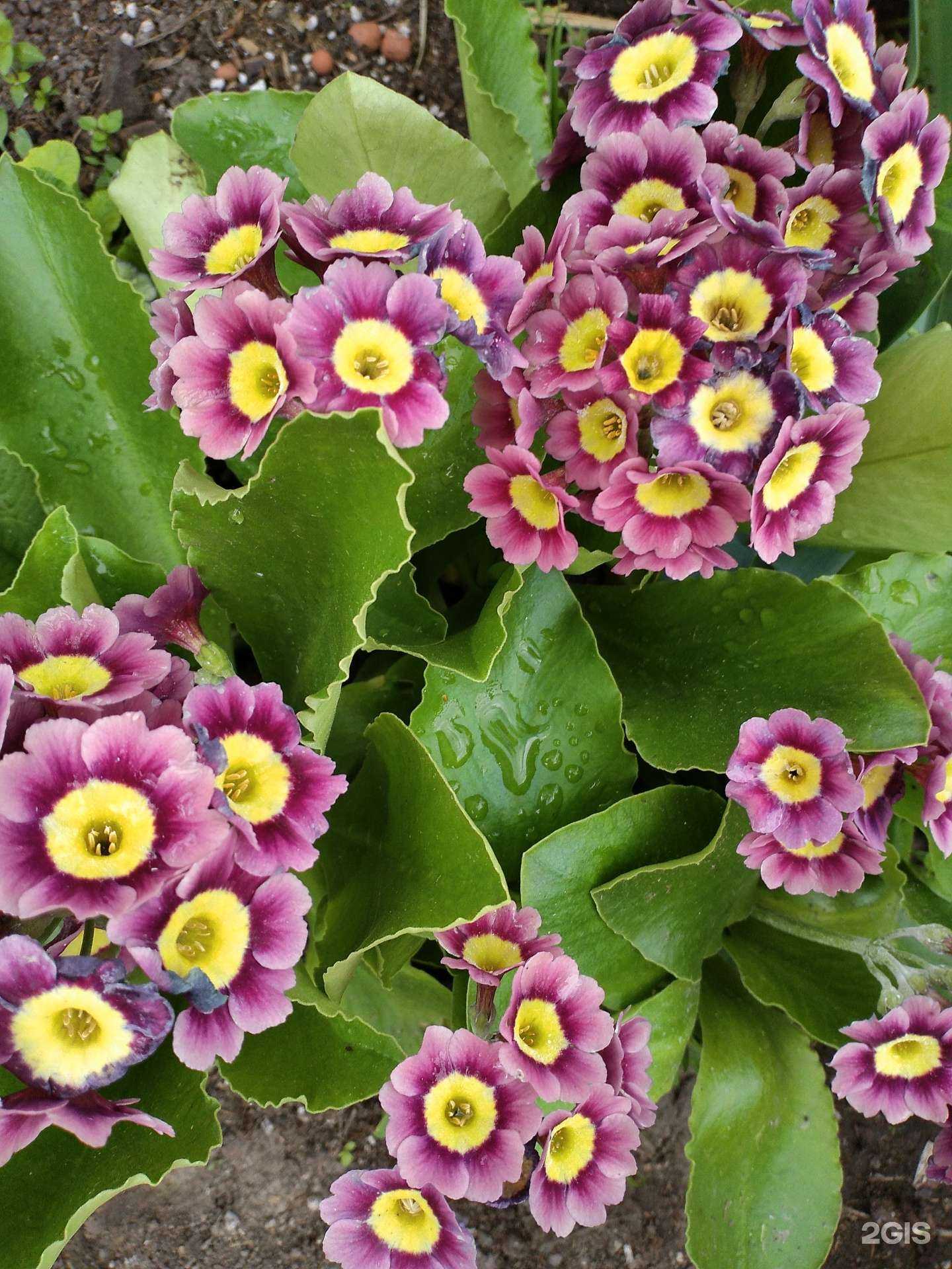 Отзывы на компанию Семянкин в Орле c фото