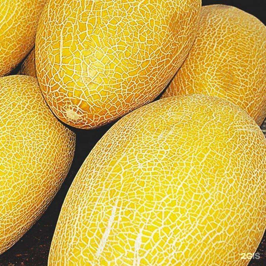 Отзывы на компанию Хобби сад в Нижнем Новгороде c фото