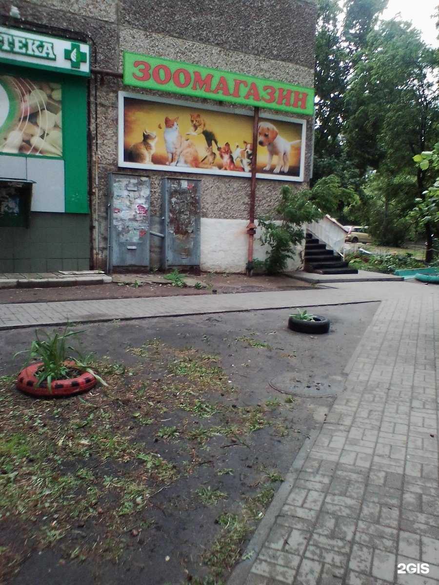 Отзывы на компанию The studio в Воронеже c фото - фотография 2 из 2