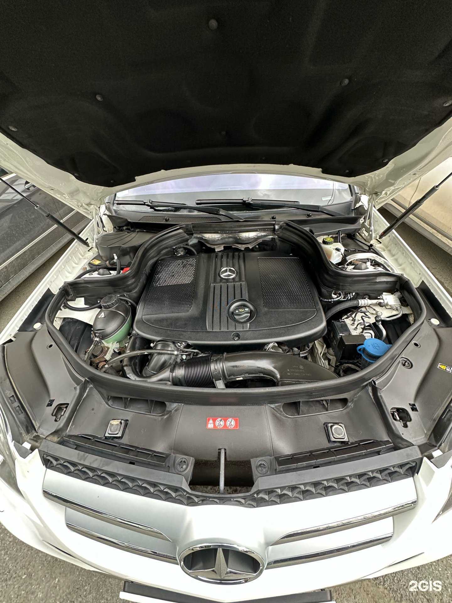 Отзывы на компанию СпортЛайн в г. Екатеринбург c фото