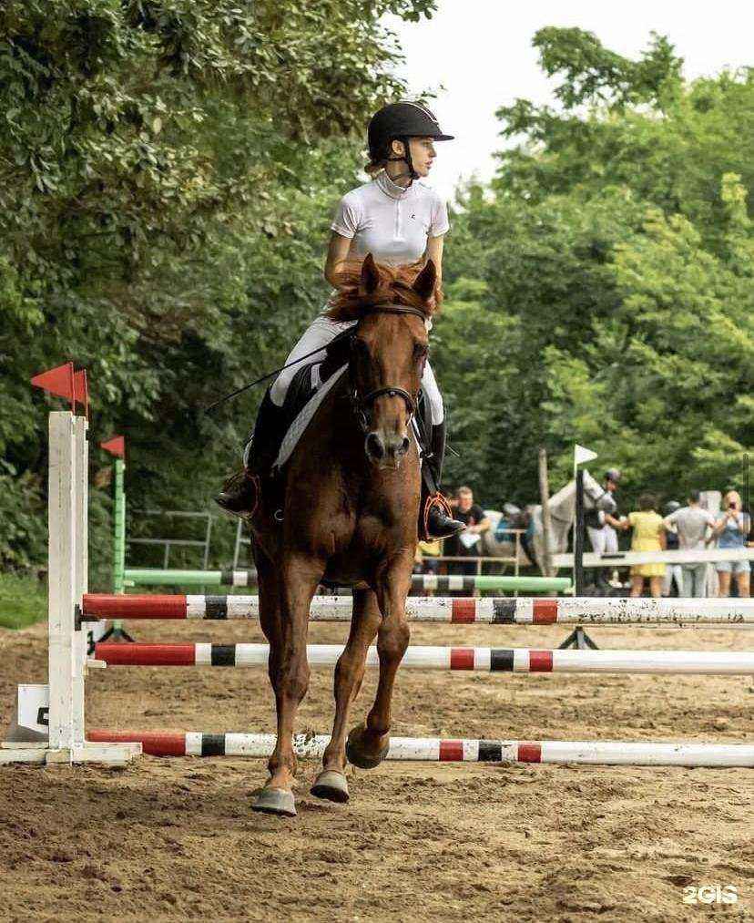 Отзывы на компанию Грация в Уссурийске c фото