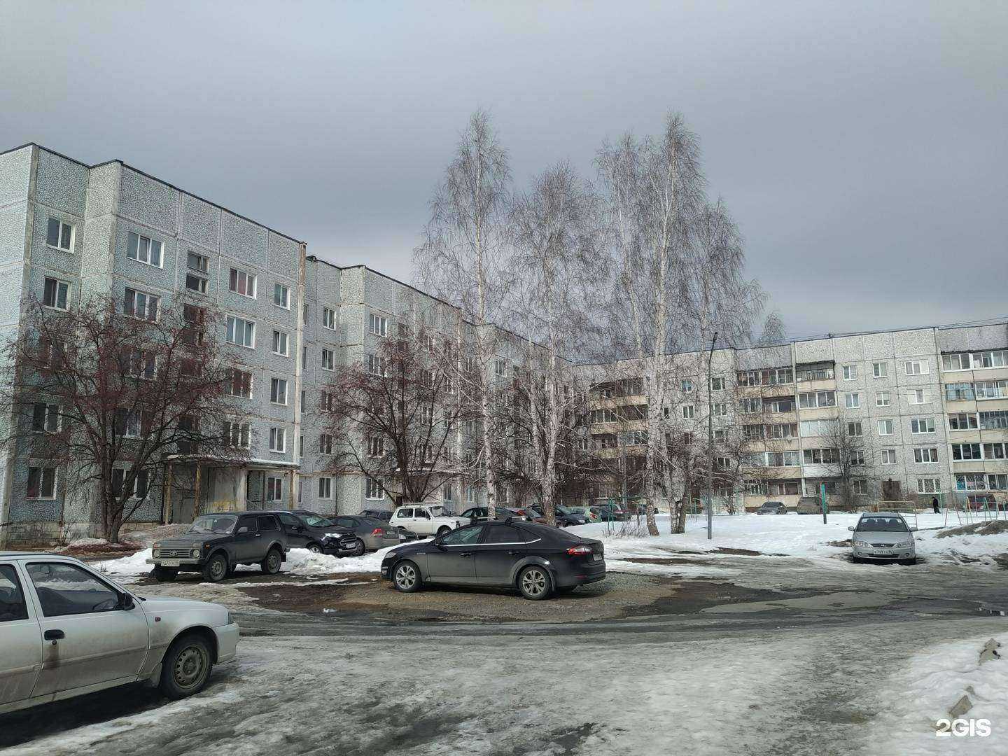 Отзывы на компанию Усатый полосатый в Верхней Салде c фото - фотография 2 из 2