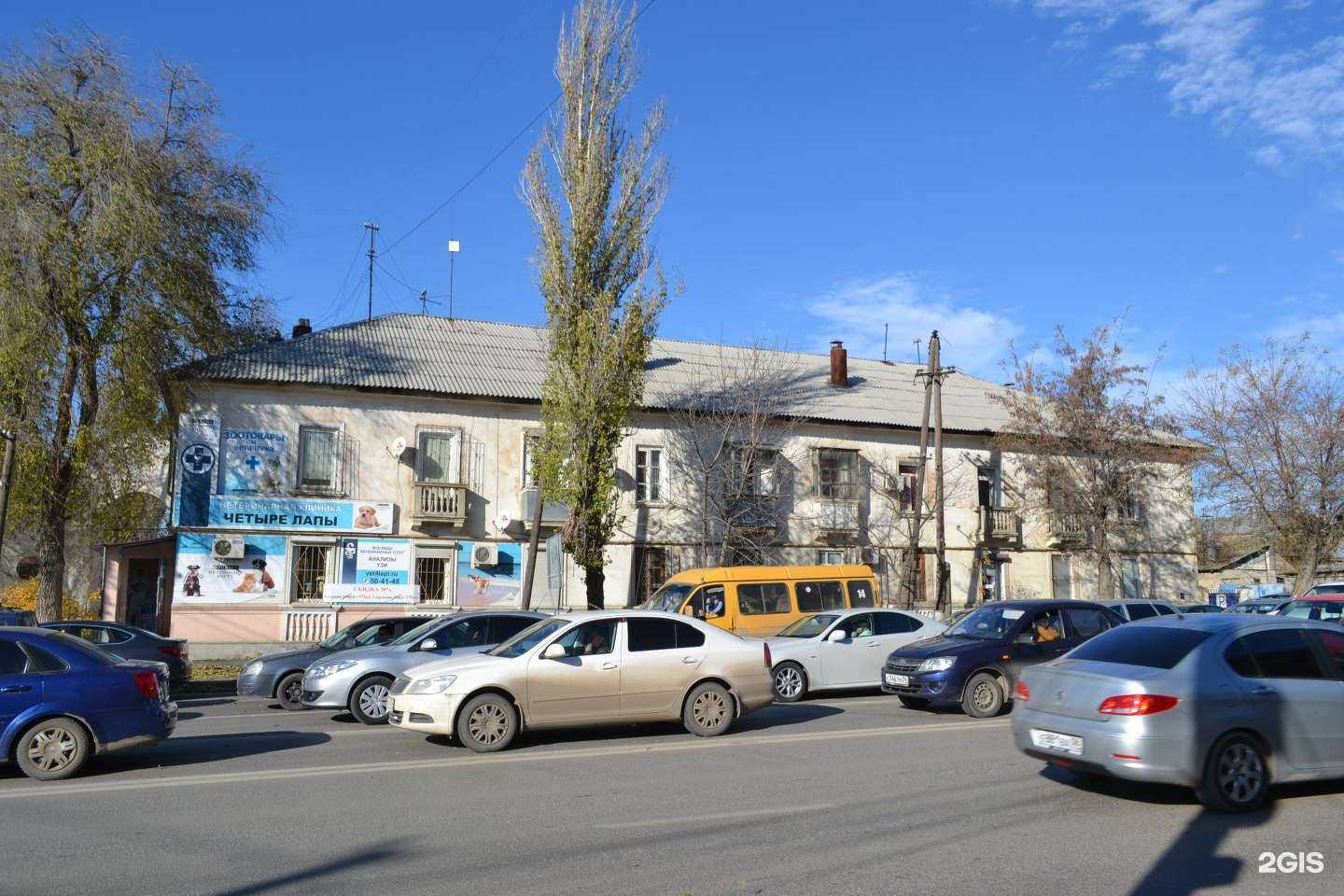 Отзывы на компанию Четыре лапы в Волгограде c фото - фотография 2 из 2