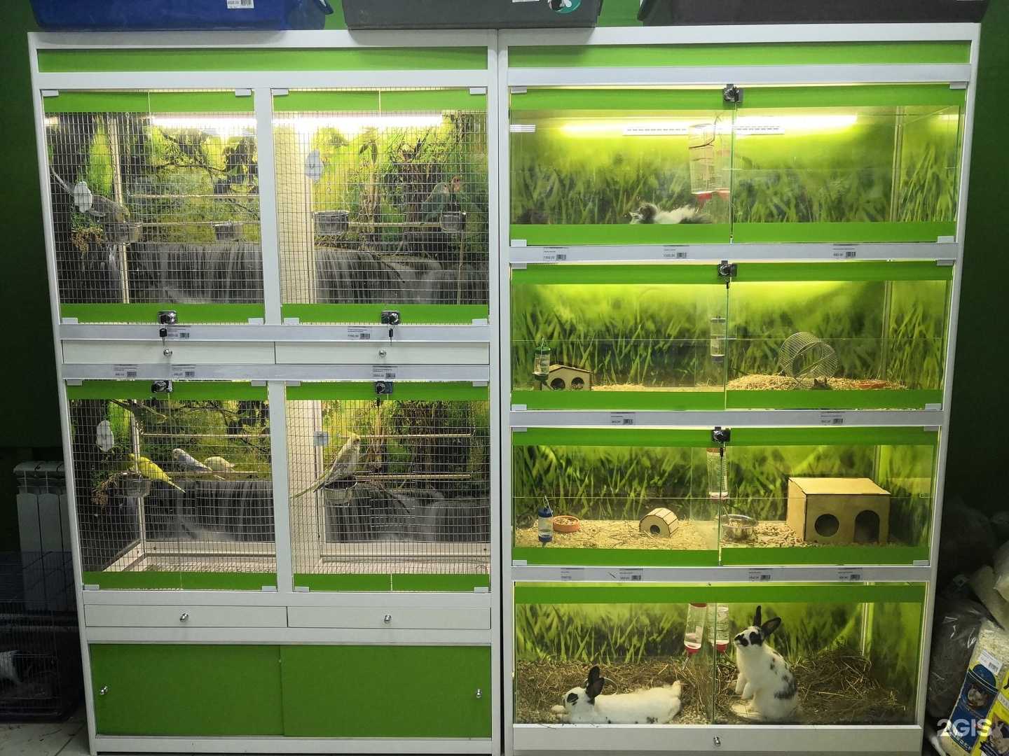 Отзывы на компанию Зоооптторг.рф в г. Нижний Новгород c фото