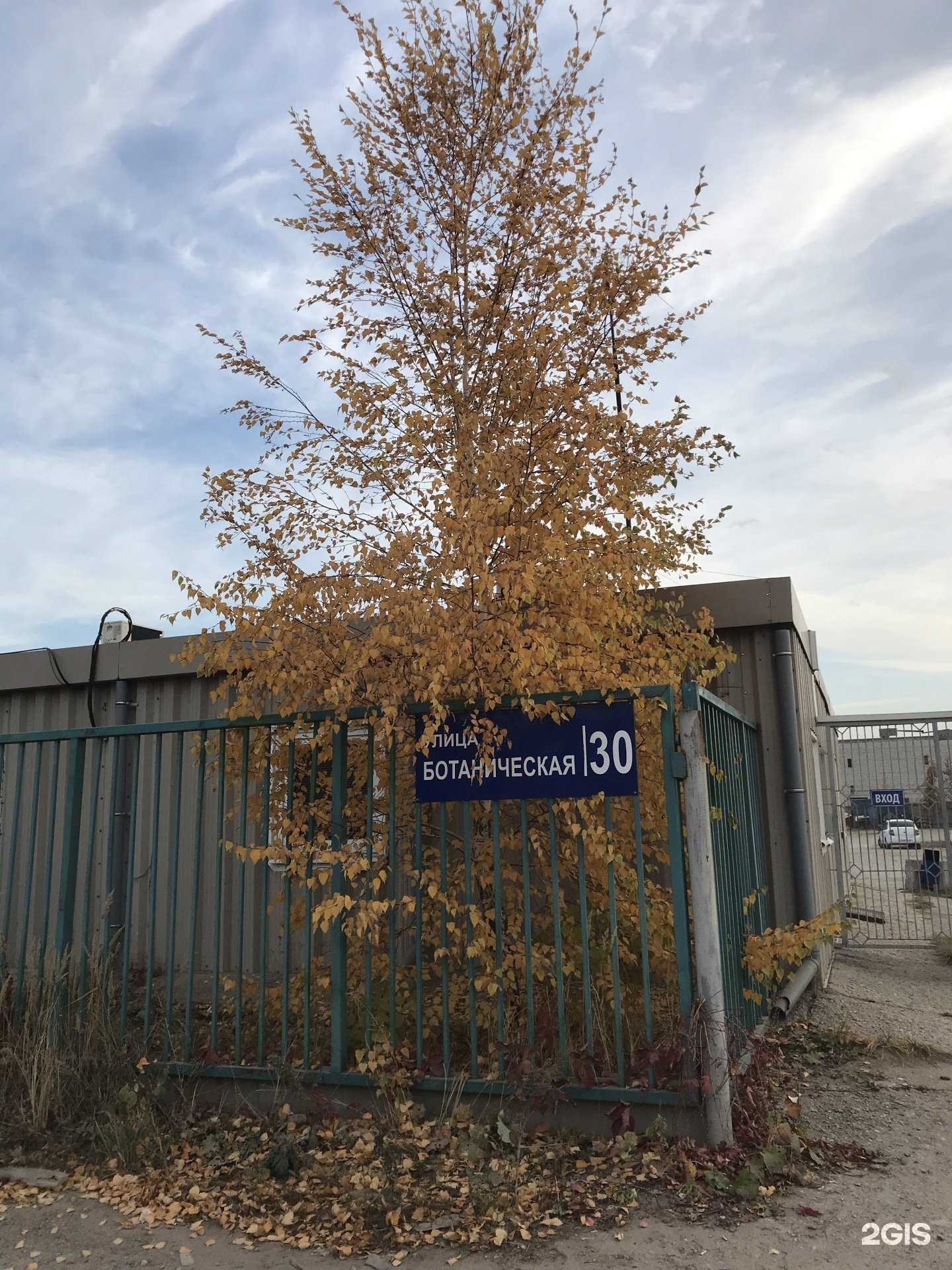 Отзывы на компанию Компания по аренде спецтехники в Тольятти c фото - фотография 2 из 2