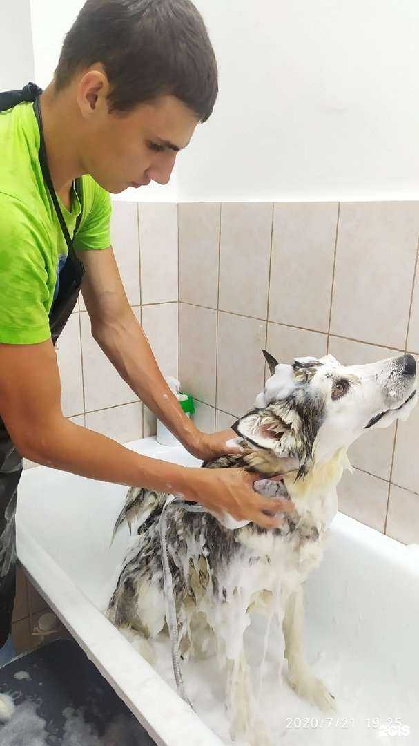 Отзывы на компанию ЛедиМур в Челябинске c фото