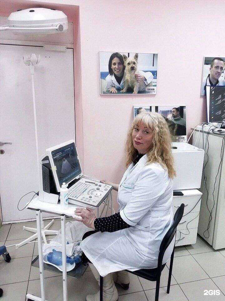 Отзывы на компанию Ювента в г. Ярославль c фото