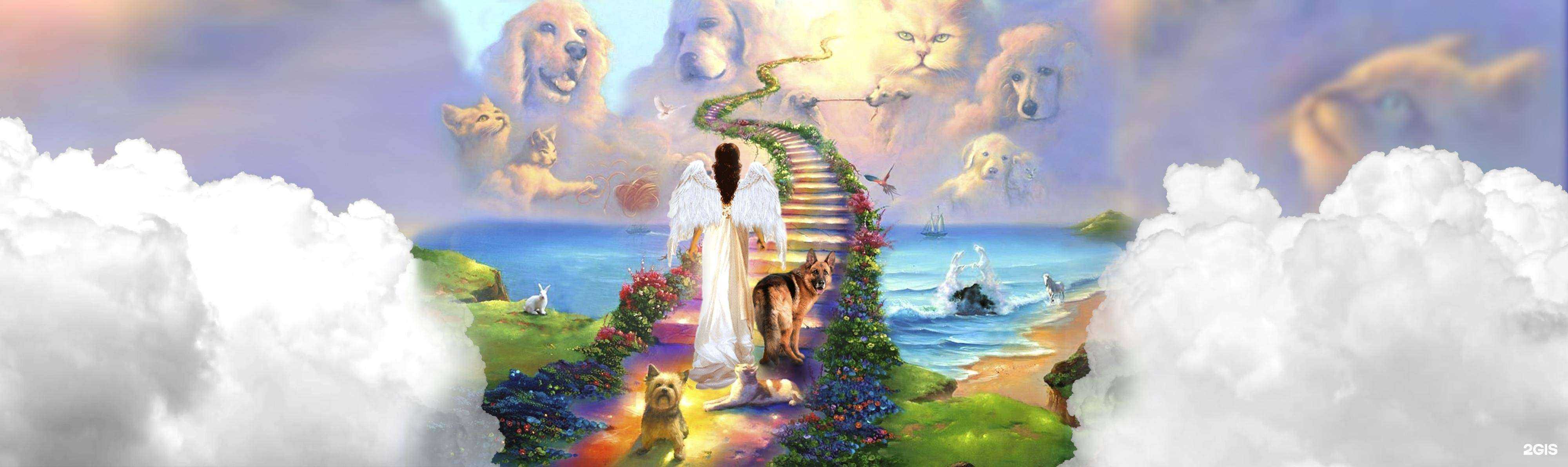 Отзывы на компанию Радужный мост в Тюмени c фото