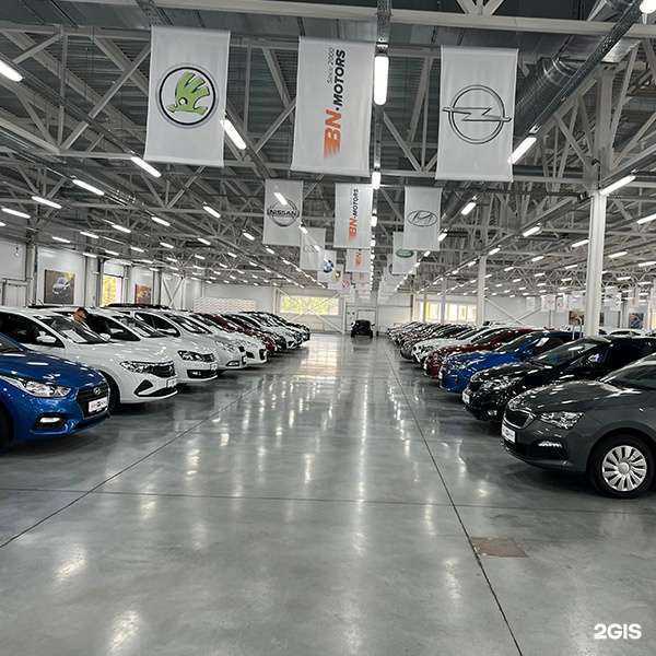 Отзывы на компанию BN Прокат авто в Курске c фото