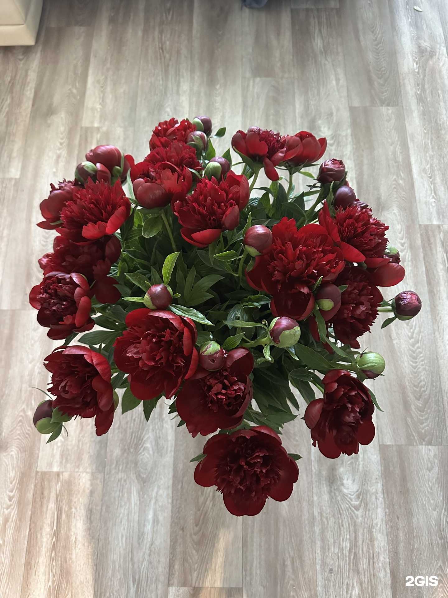 Отзывы на компанию Салон цветов в Владивостоке c фото