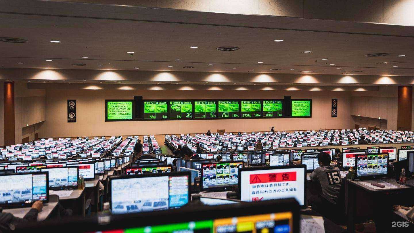 Отзывы на компанию World import в г. Владивосток c фото