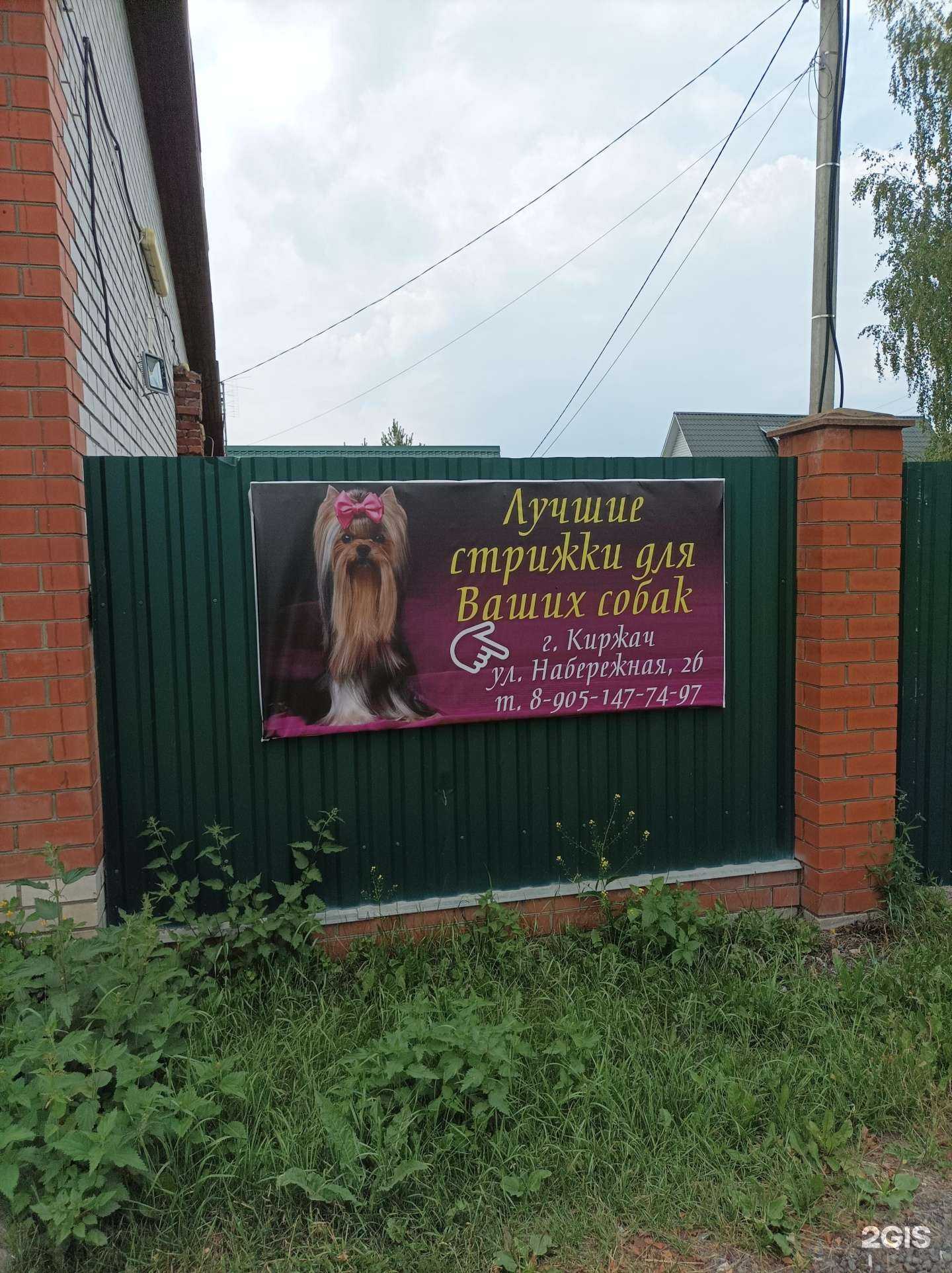 Отзывы на компанию Студия груминга в г. Киржач c фото