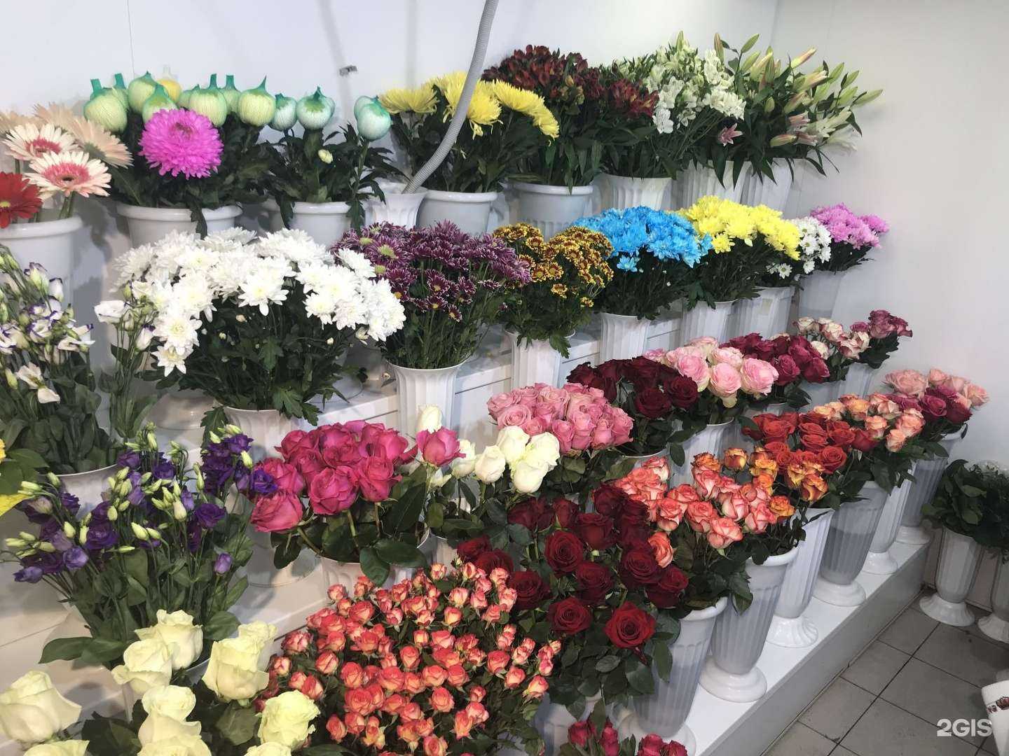 Отзывы на компанию Цветы от Маргариты в г. Тверь c фото