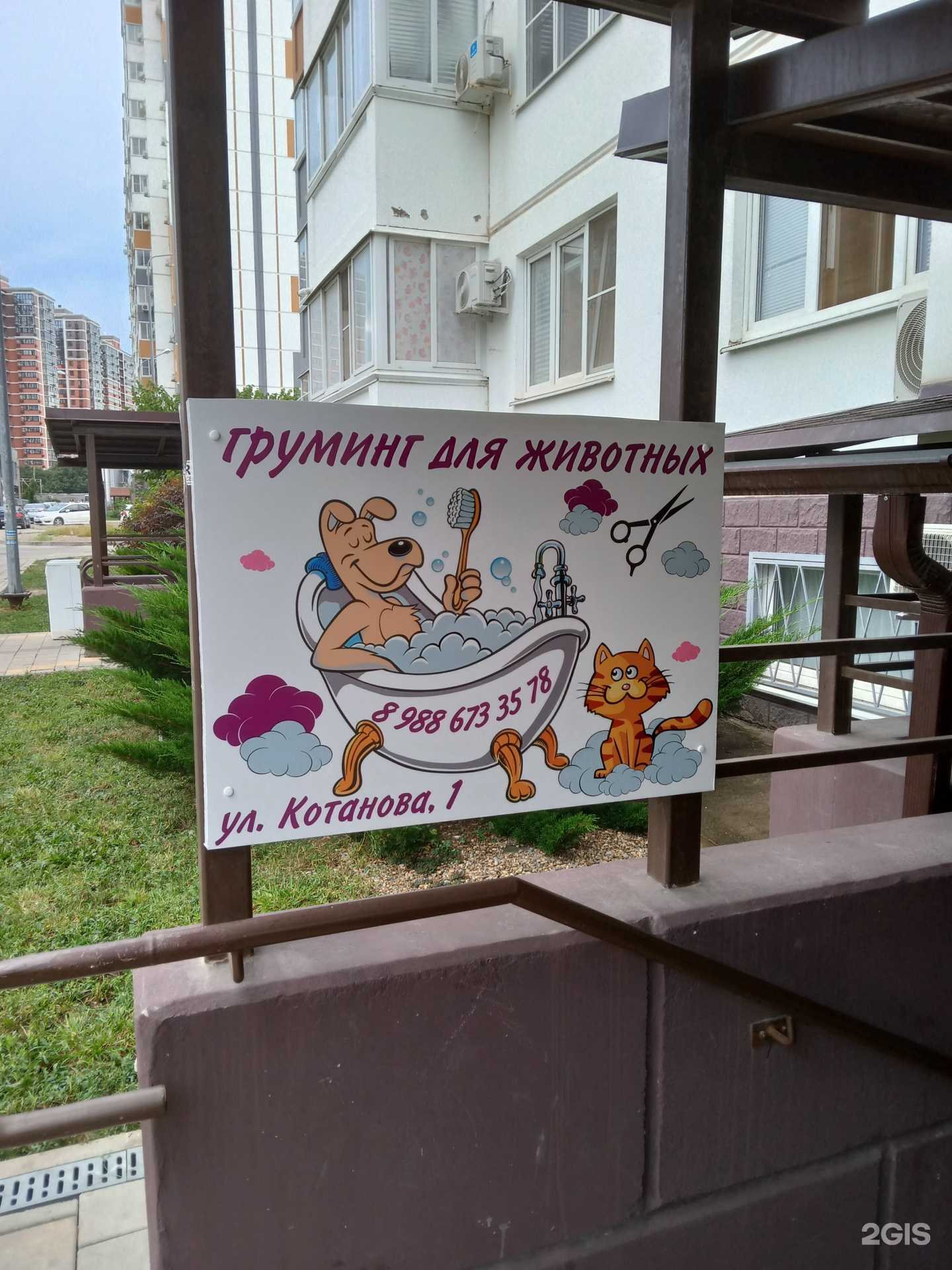 Отзывы на компанию Студия груминга в Новороссийске c фото