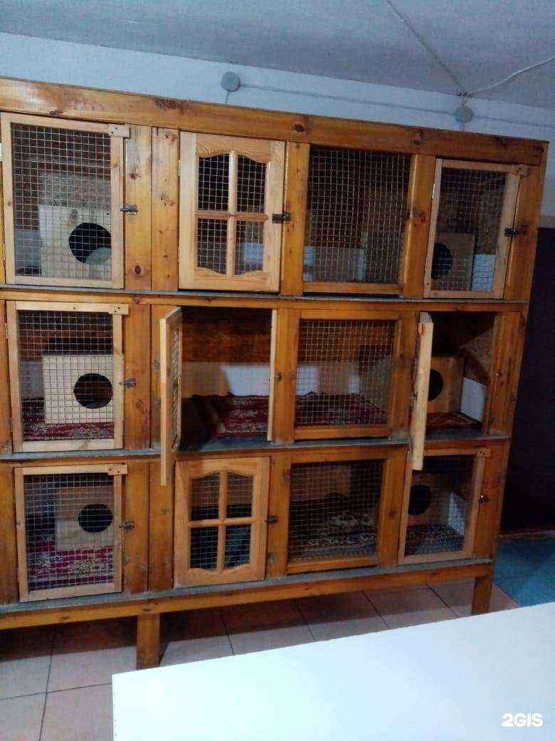 Отзывы на компанию Сибирский Бастион в Омске c фото