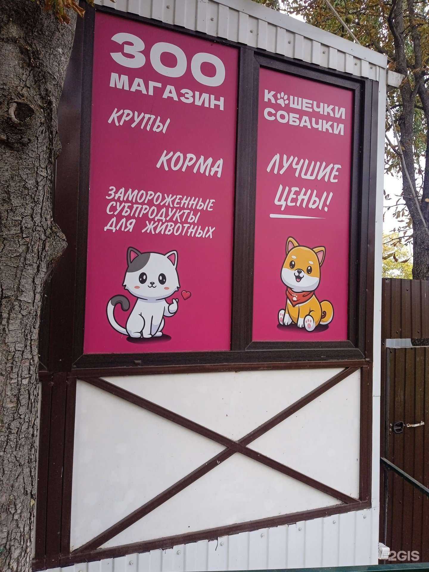 Отзывы на компанию Кошечки собачки в г. Ставрополь c фото