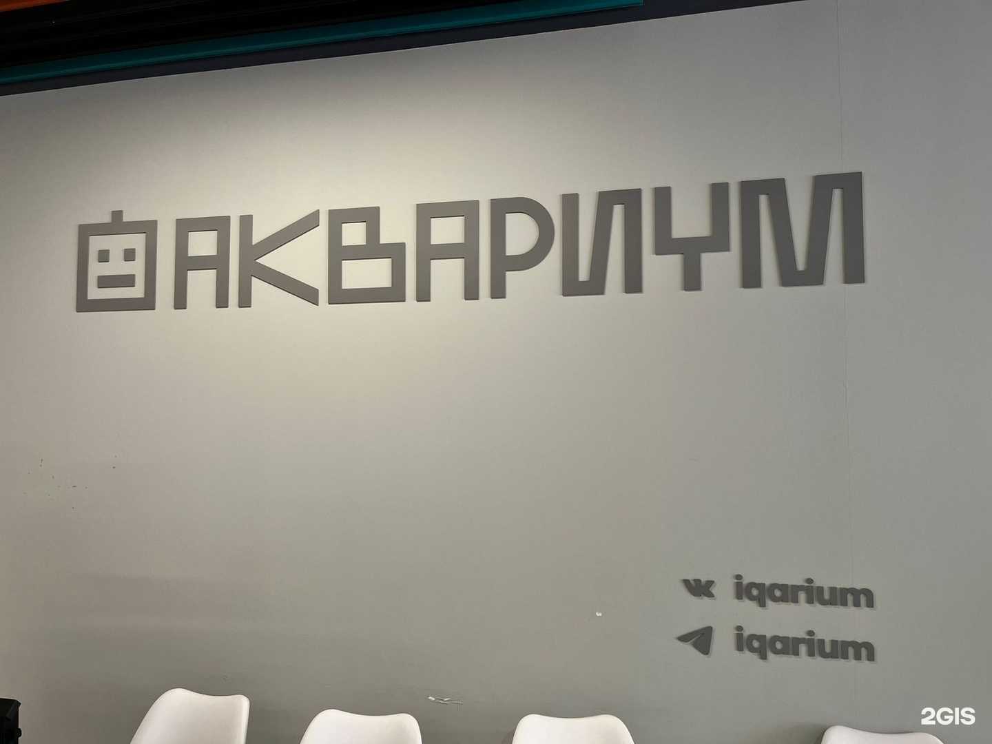 Отзывы на компанию Intelsib в Краснодаре c фото